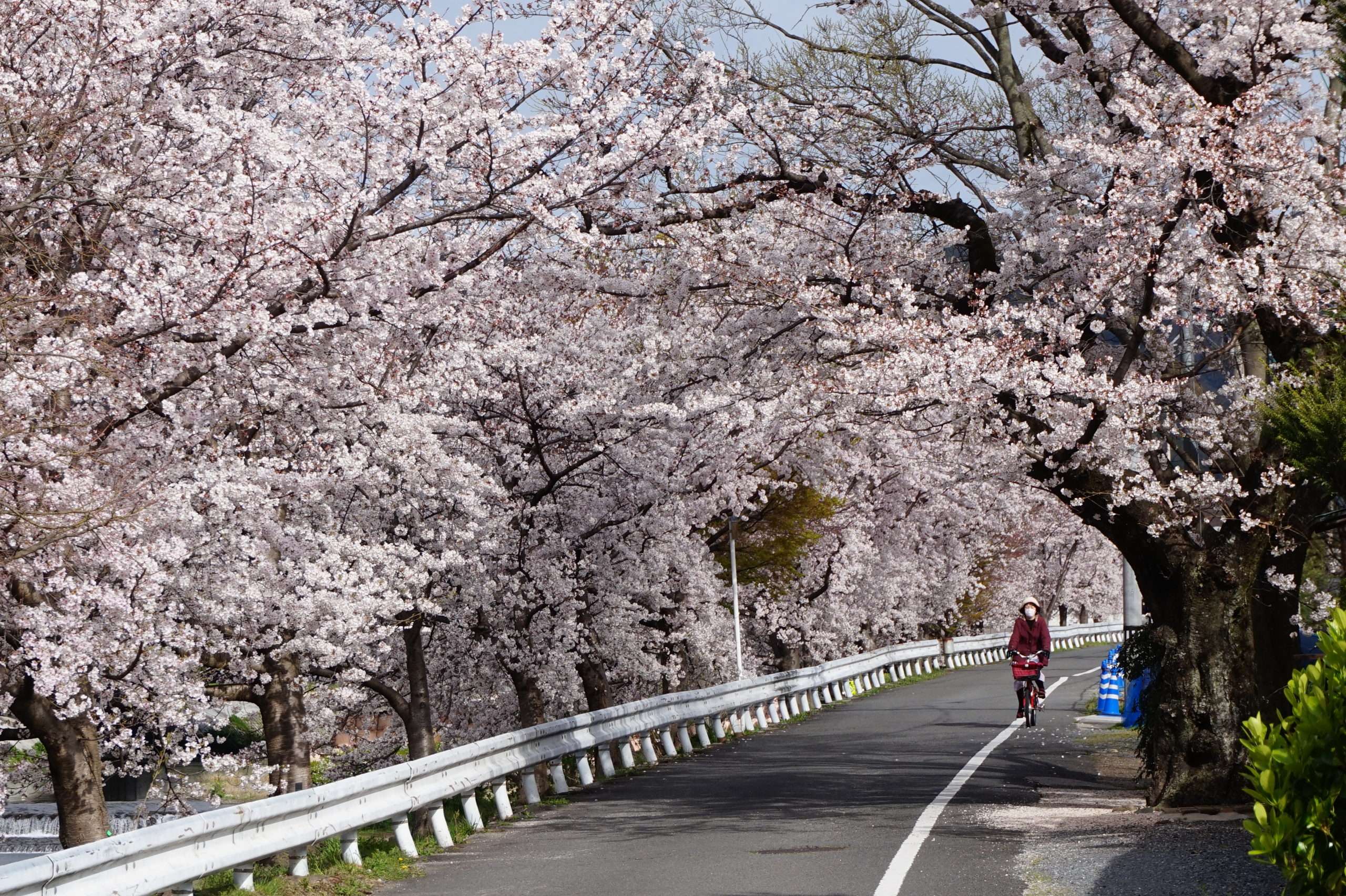 🏯 신슈잔 만간지 이미지 7